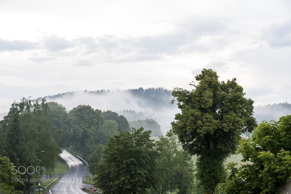 Nikon D500 sample photo. Untitled photography