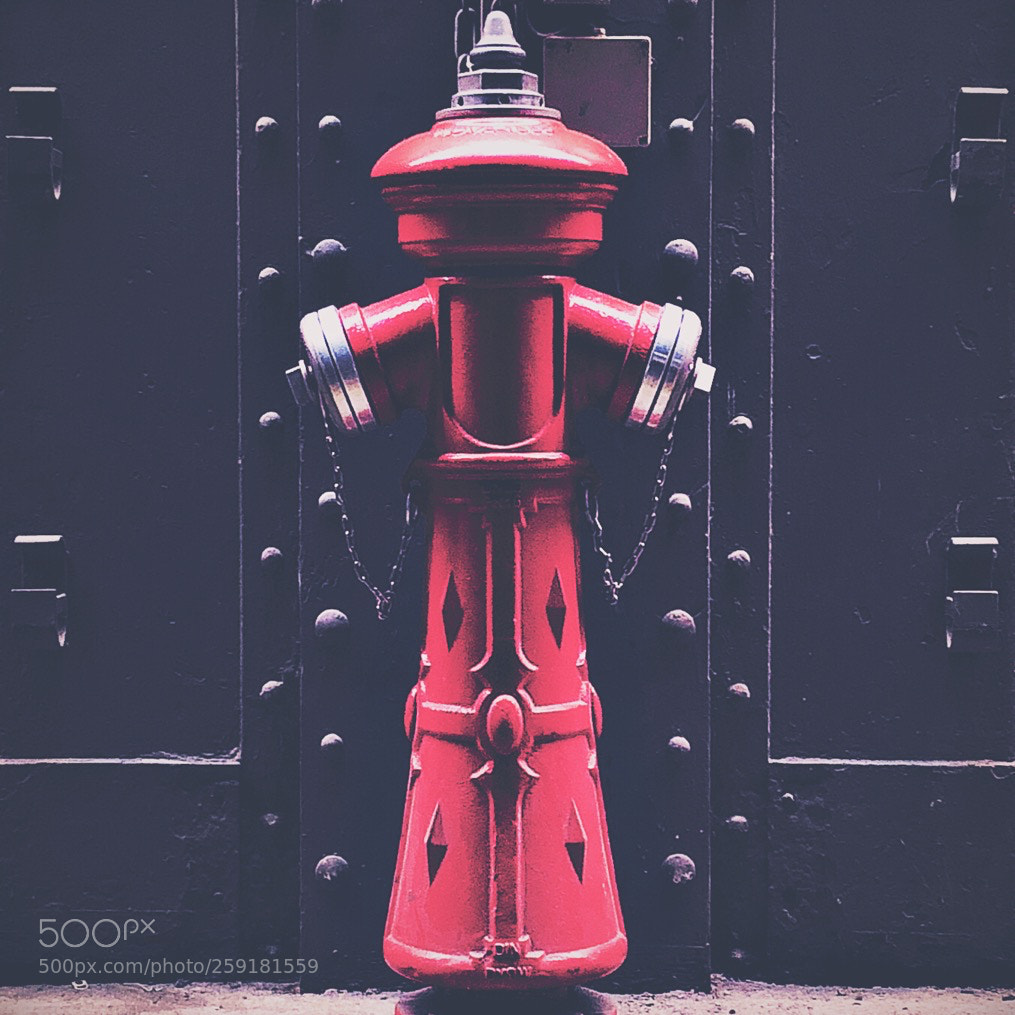 Apple iPhone X sample photo. Fire hydrant photography