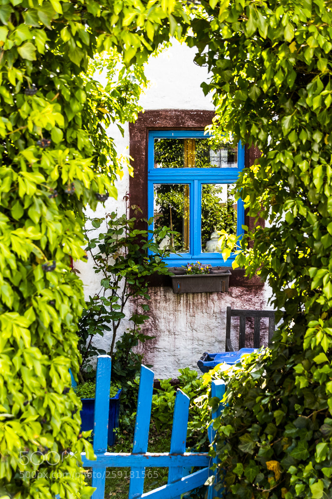 Nikon D500 sample photo. Blue luck photography