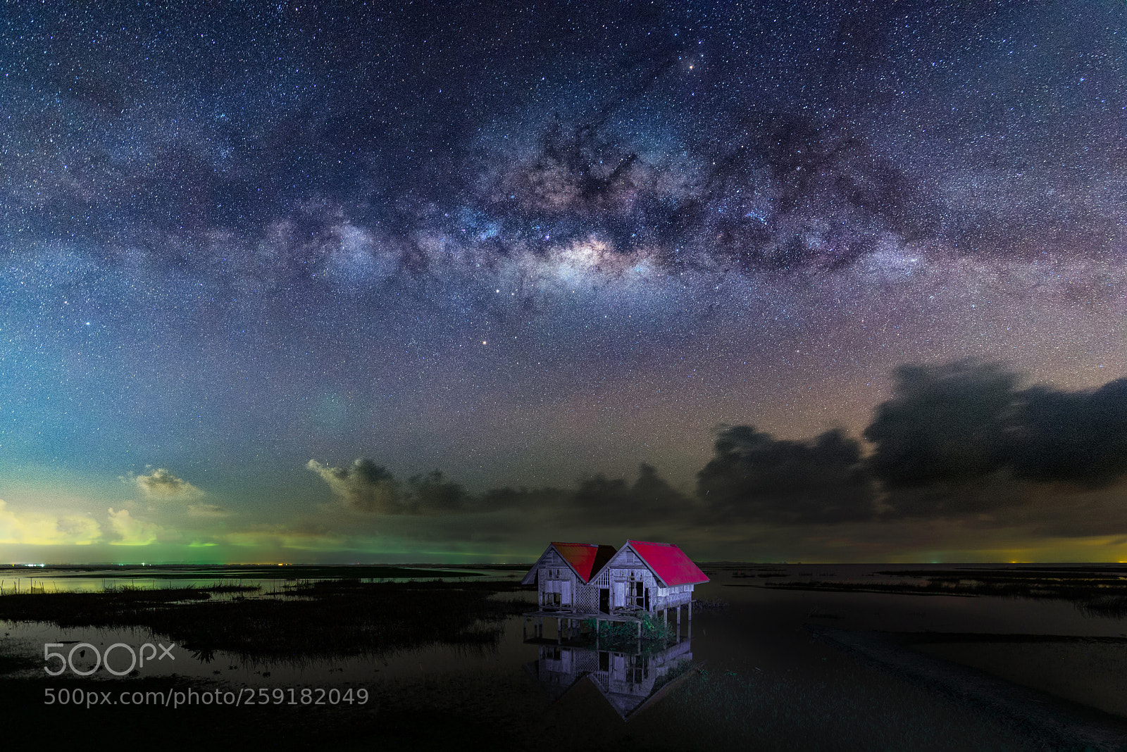 Nikon D750 sample photo. Alone under star photography