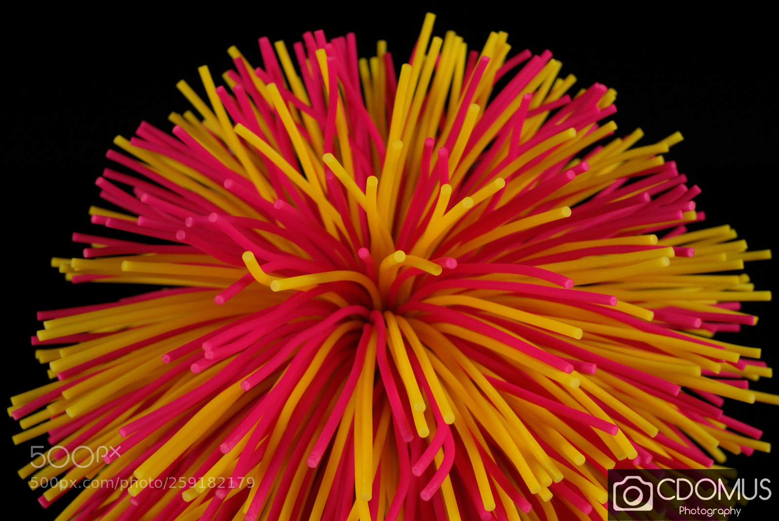 Sony a6000 sample photo. Hairy toy ball photography