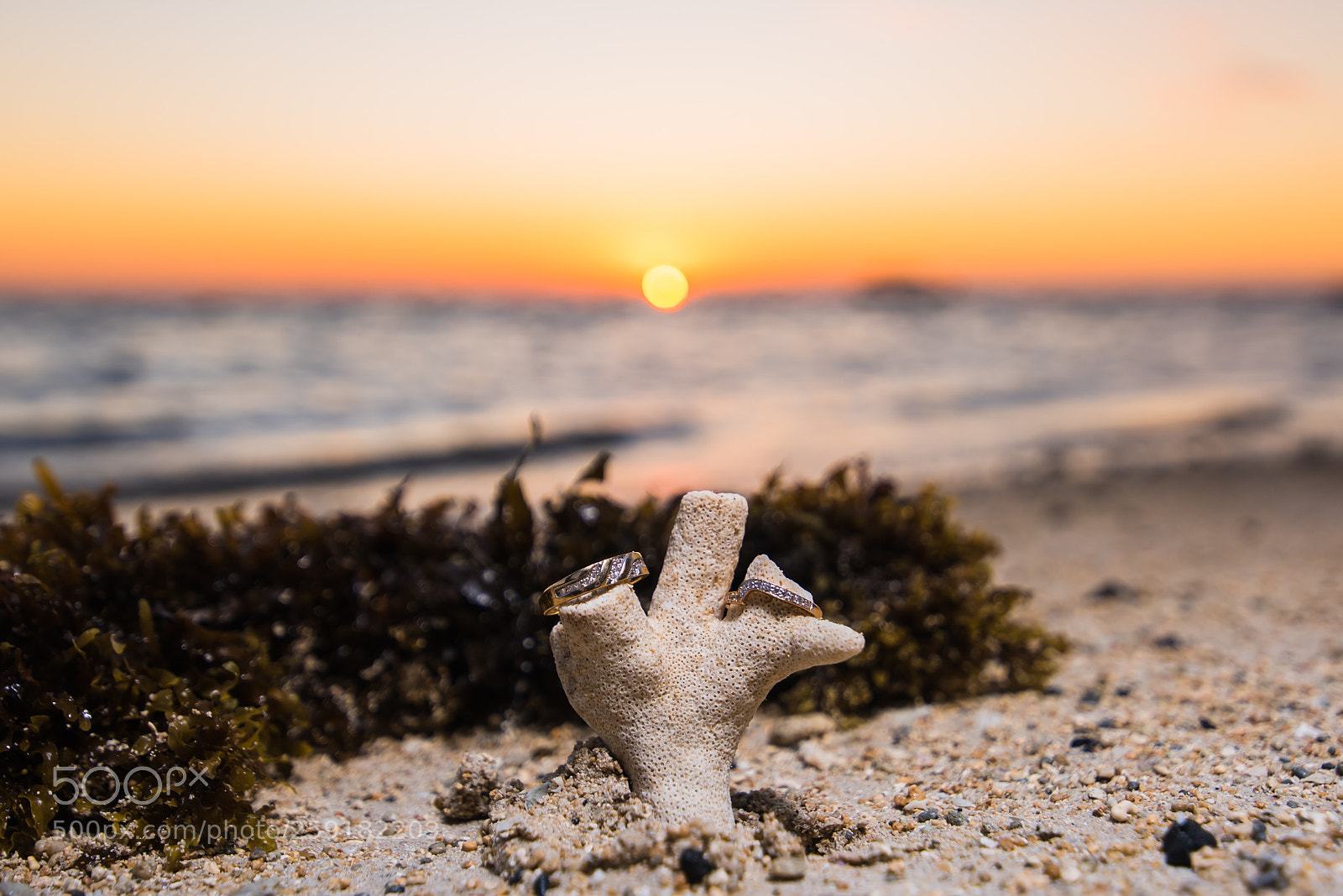 Nikon D810 sample photo. The wedding rings photography