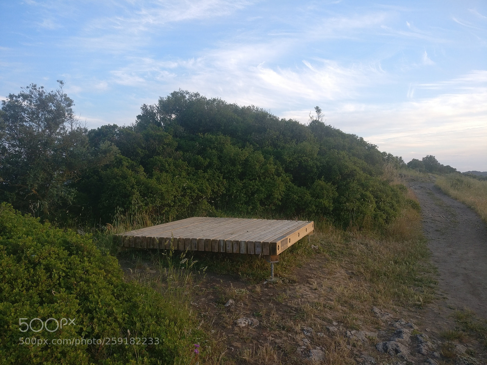 OnePlus A3003 sample photo. Untitled photography