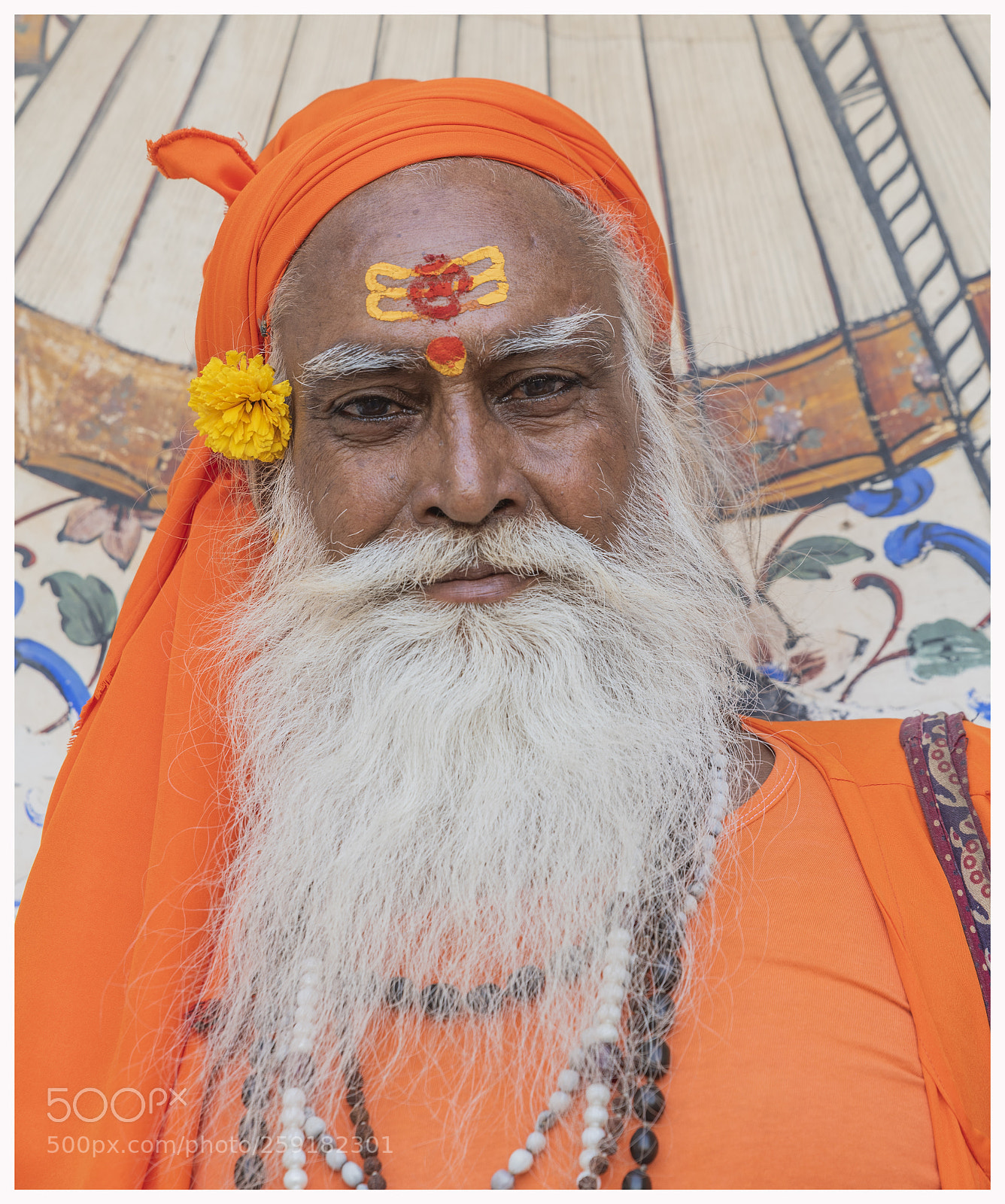 Nikon D750 sample photo. Indu photography