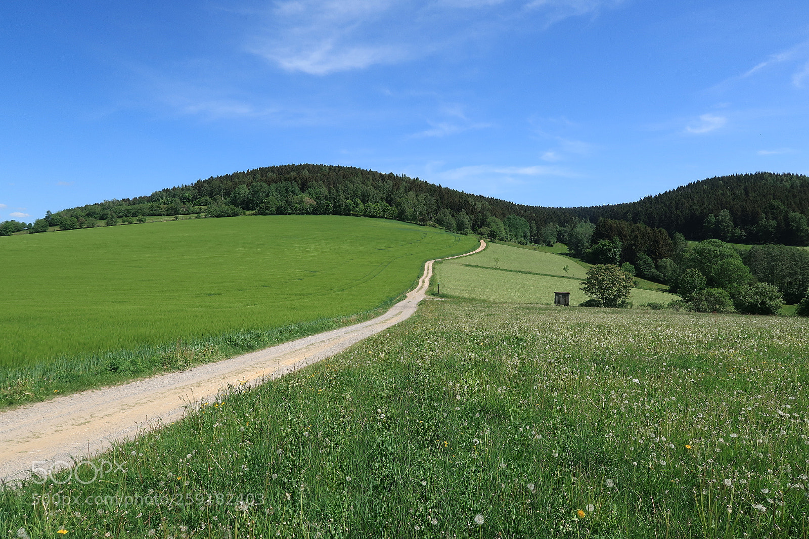 Canon PowerShot G7 X Mark II sample photo. Erzgebirge 1 photography