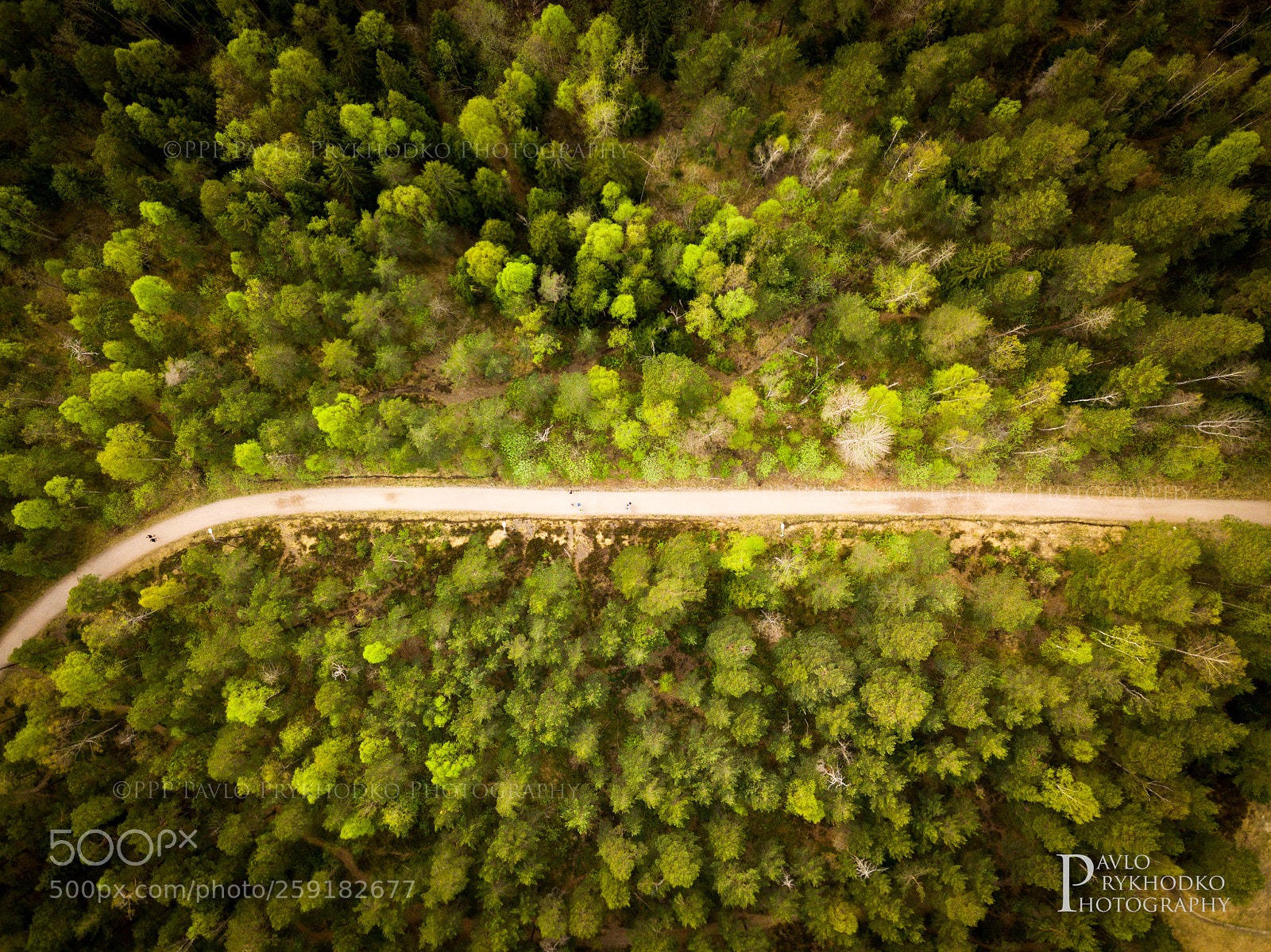 DJI FC220 sample photo. The maze photography