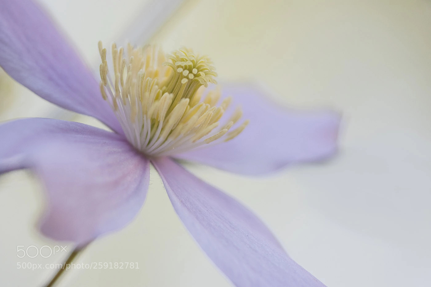 Canon EOS 7D Mark II sample photo. Montana photography
