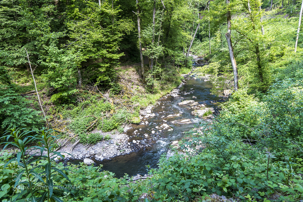 Nikon D500 sample photo. Waterwood photography