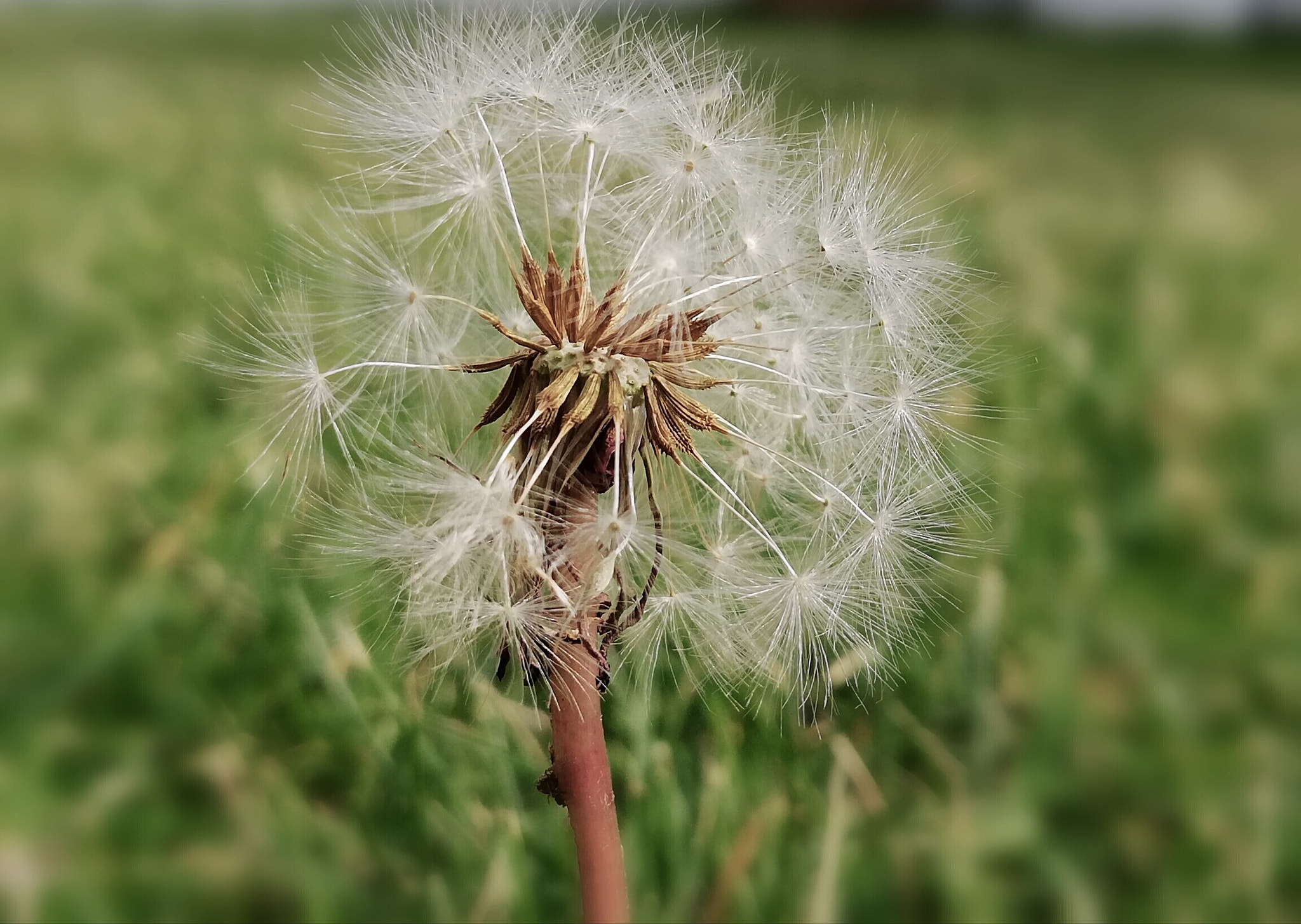 HUAWEI Mate 10 Lite sample photo. Untitled photography