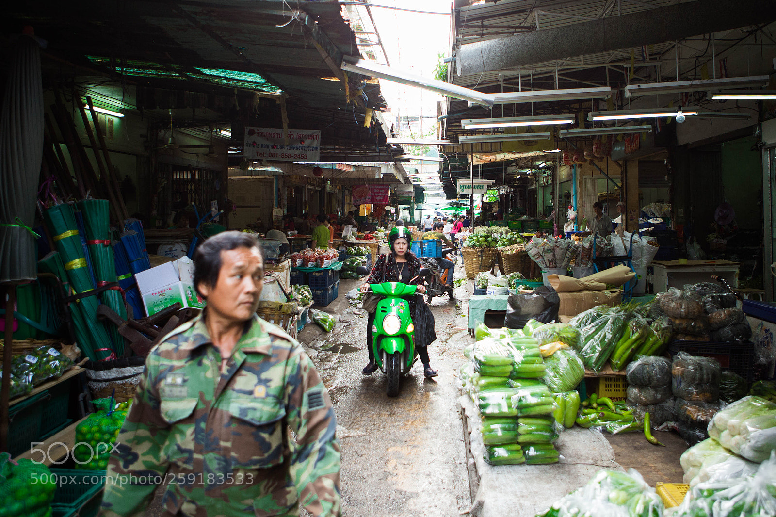 Canon EOS 6D sample photo. Green everywhere photography