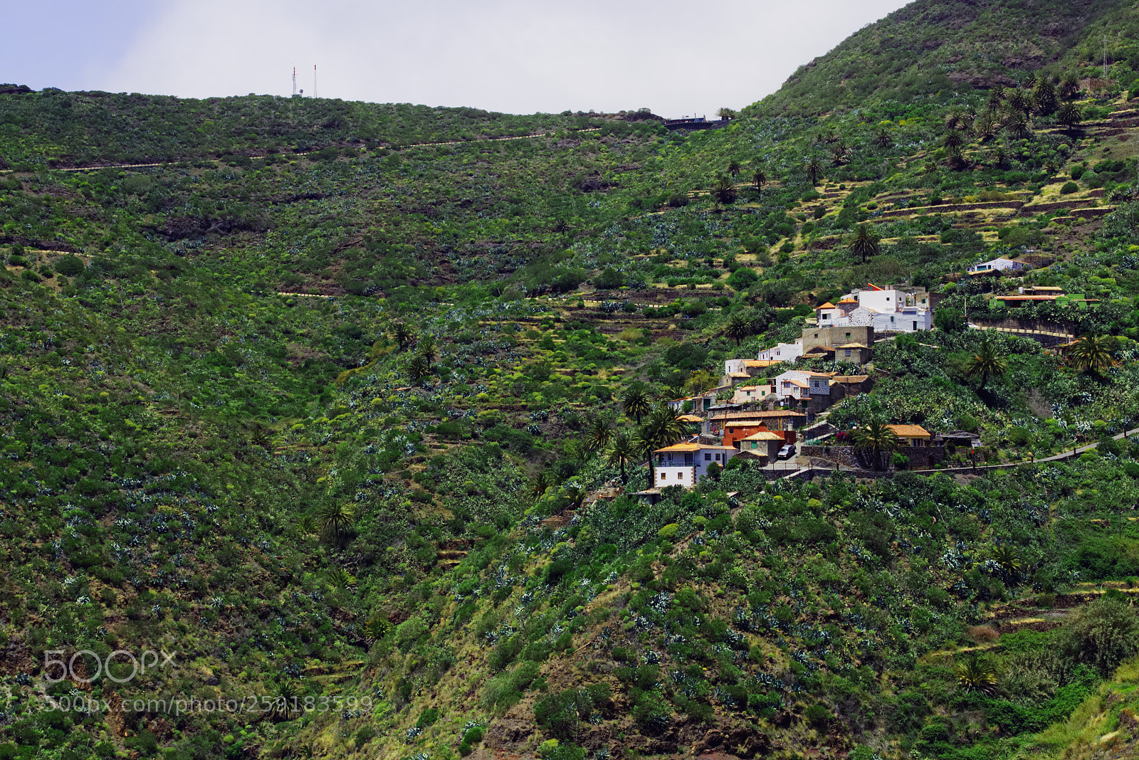 Canon EOS 750D (EOS Rebel T6i / EOS Kiss X8i) sample photo. Masca canyon on tenerife photography
