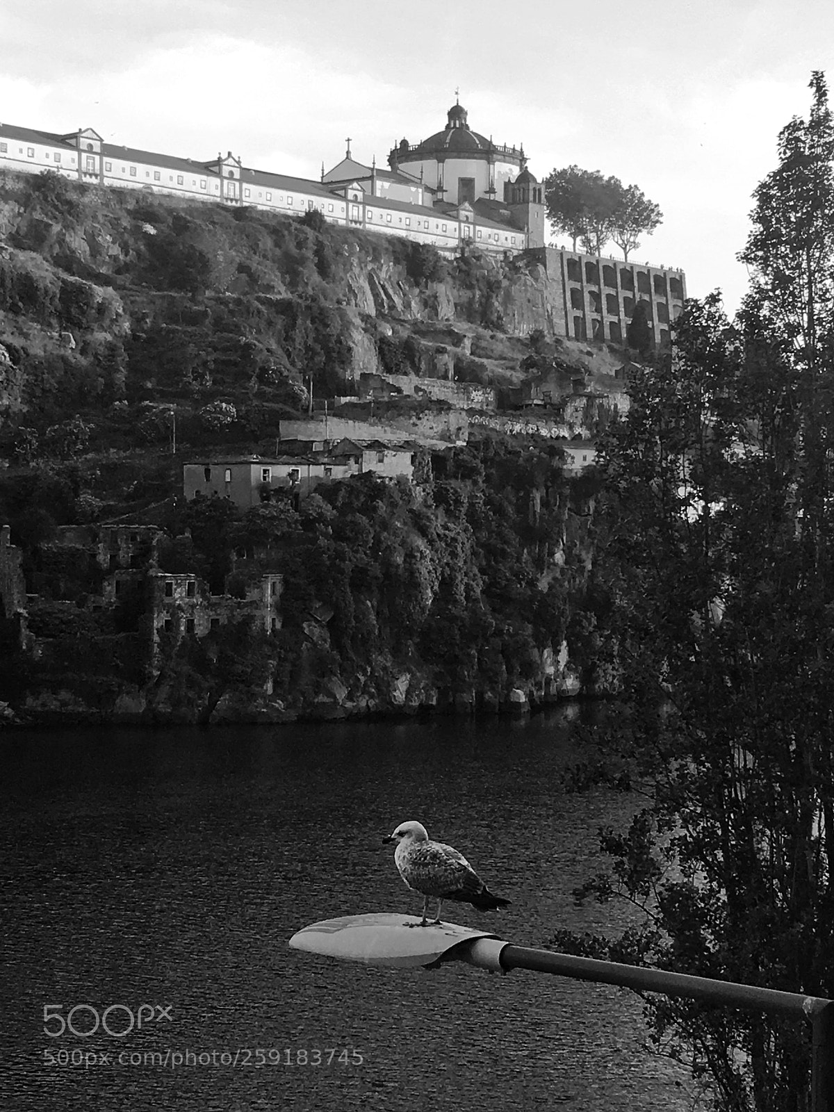 Apple iPhone 6s sample photo. Porto interessante photography