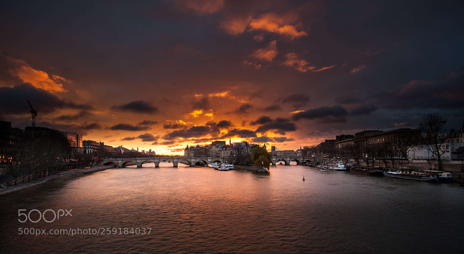 Canon EOS 5D sample photo. Eveil du pont neuf photography