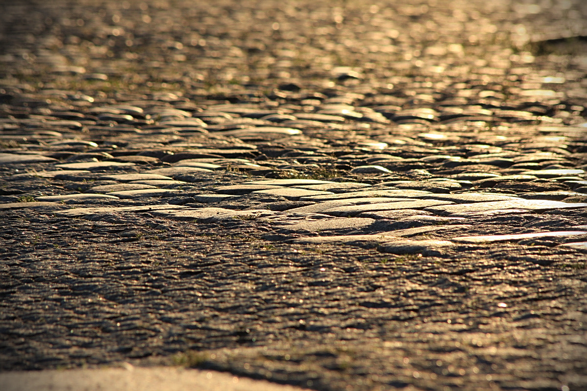 Canon EOS 40D + Canon EF 70-210mm f/4 sample photo. Something from the world of john :) photography