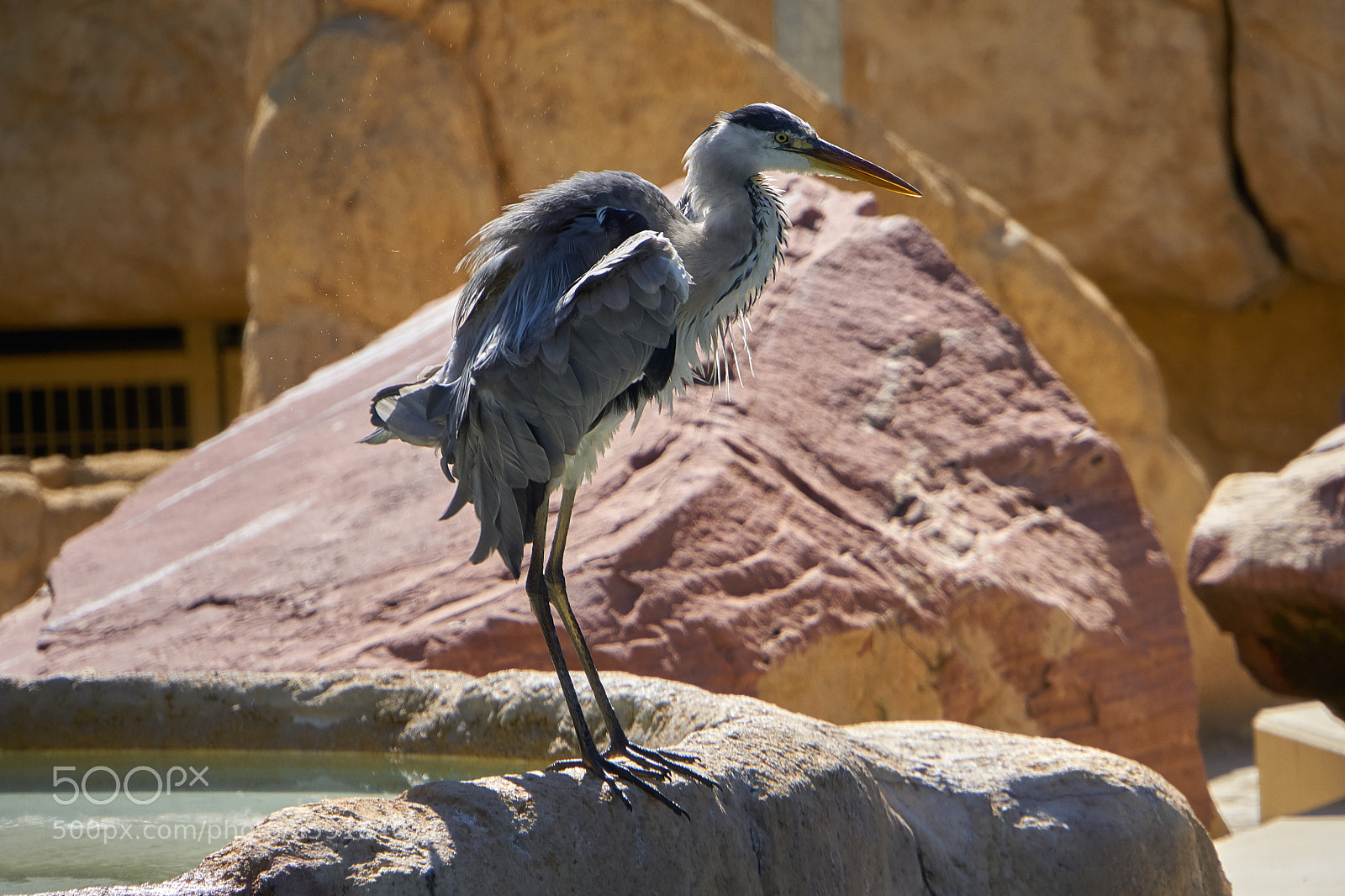 Sony a6000 sample photo. Wilhelma stuttgart photography