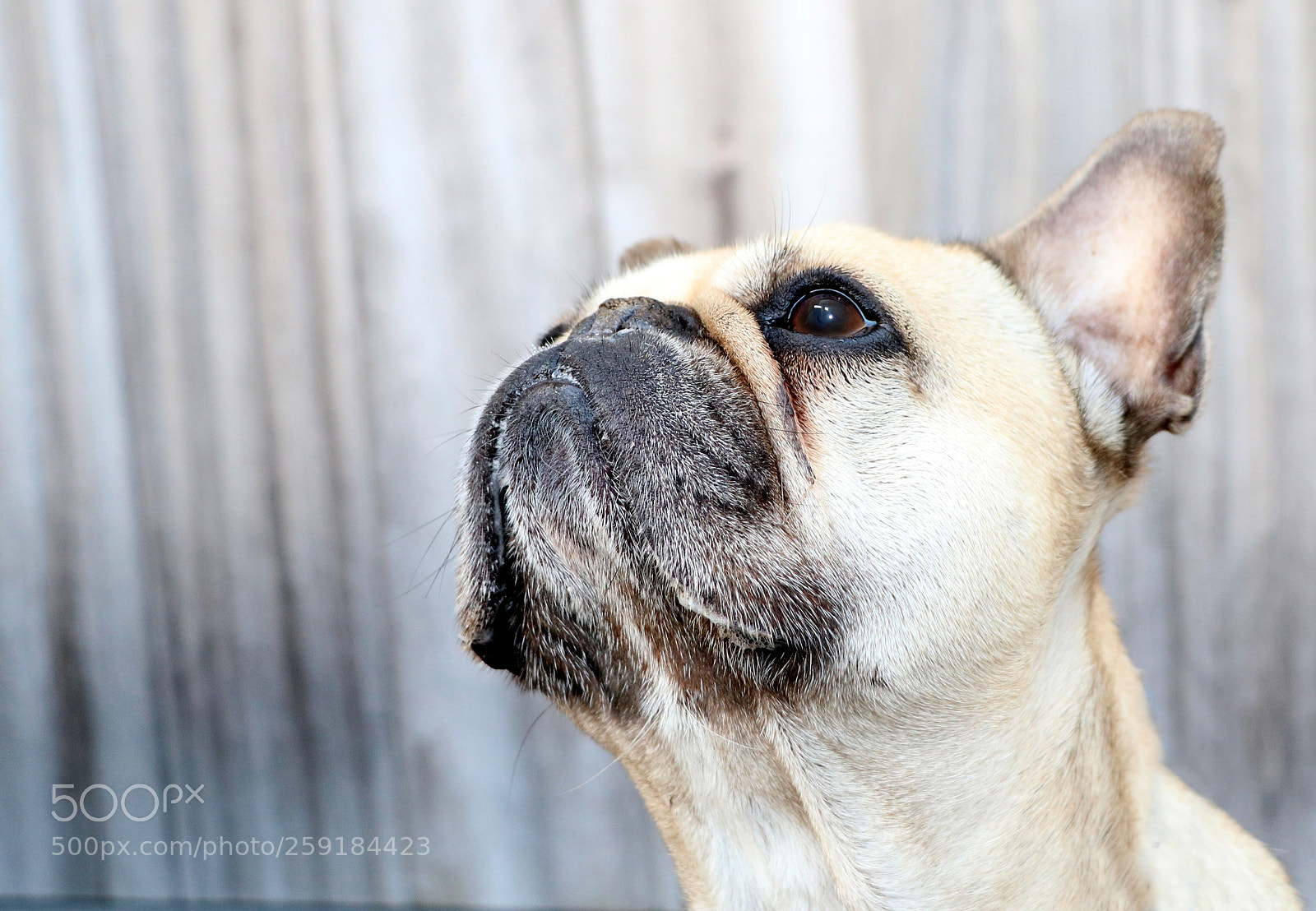 Canon EOS 760D (EOS Rebel T6s / EOS 8000D) sample photo. Spot photography