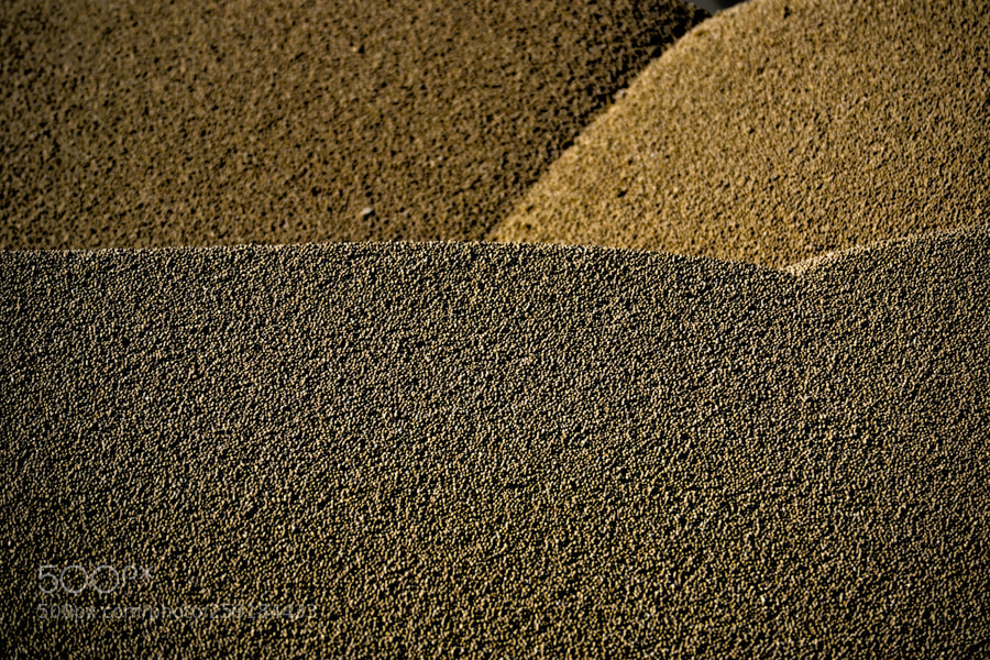 Nikon D3100 sample photo. Oltre il confine c photography