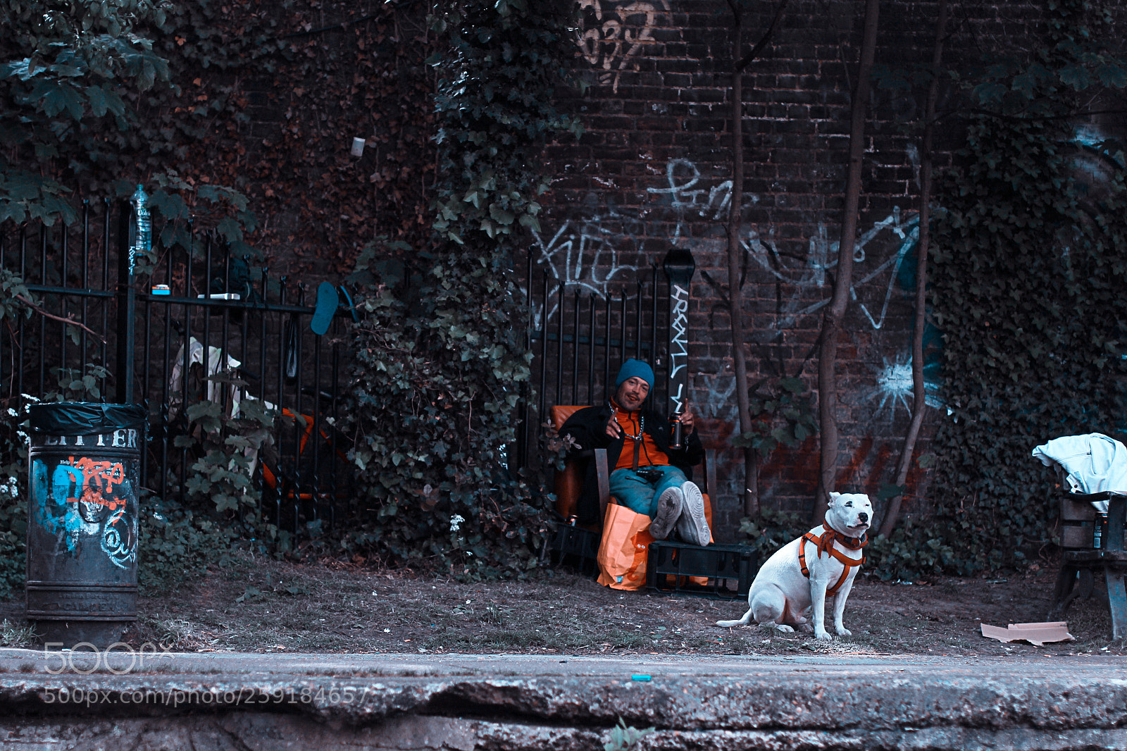 Canon EOS 700D (EOS Rebel T5i / EOS Kiss X7i) sample photo. Camdentown photography