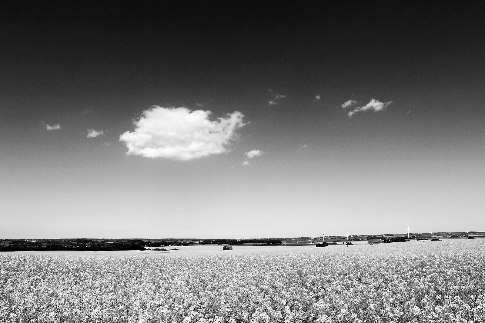 Canon EOS 60D sample photo. I...cloud photography
