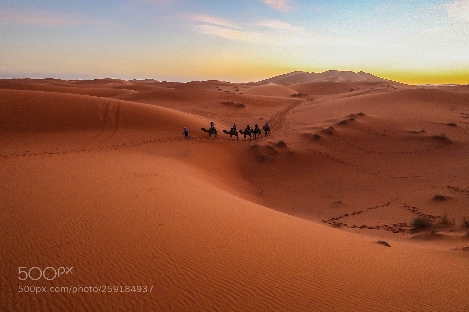 Canon PowerShot G7 X Mark II sample photo. Tourists ride camels train photography