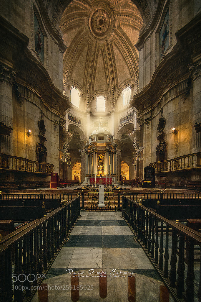 Nikon D7100 sample photo. Altar mayor de la photography
