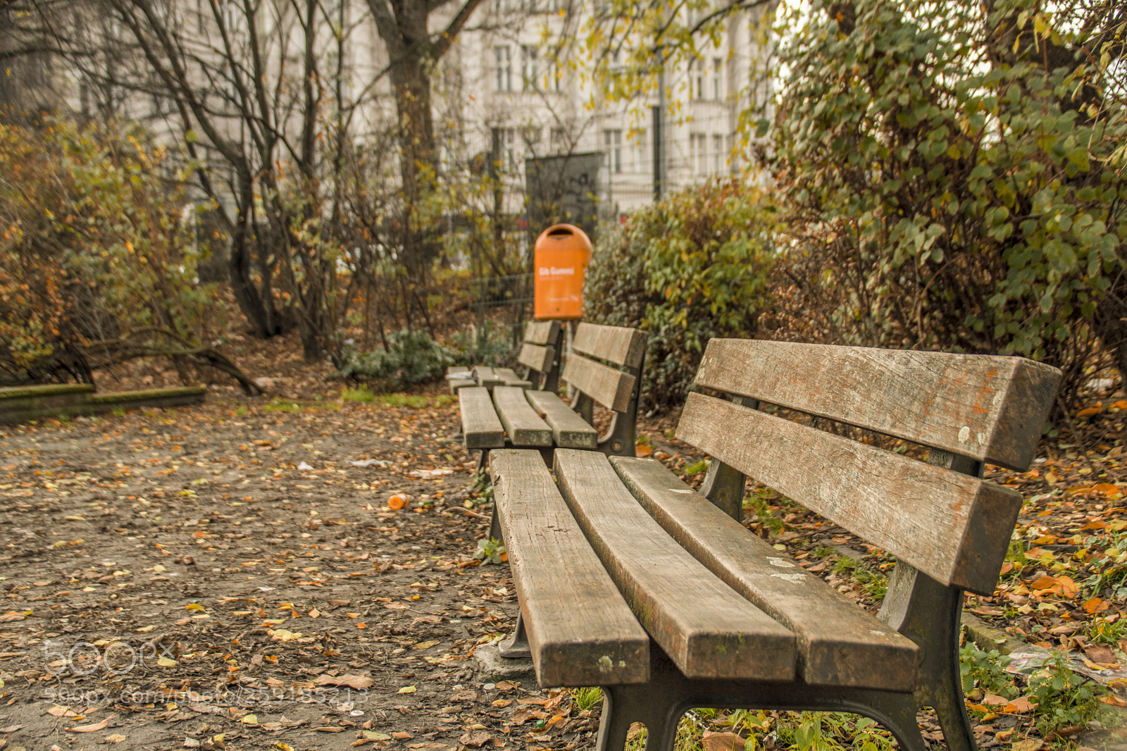 Nikon D500 sample photo. A view of an photography