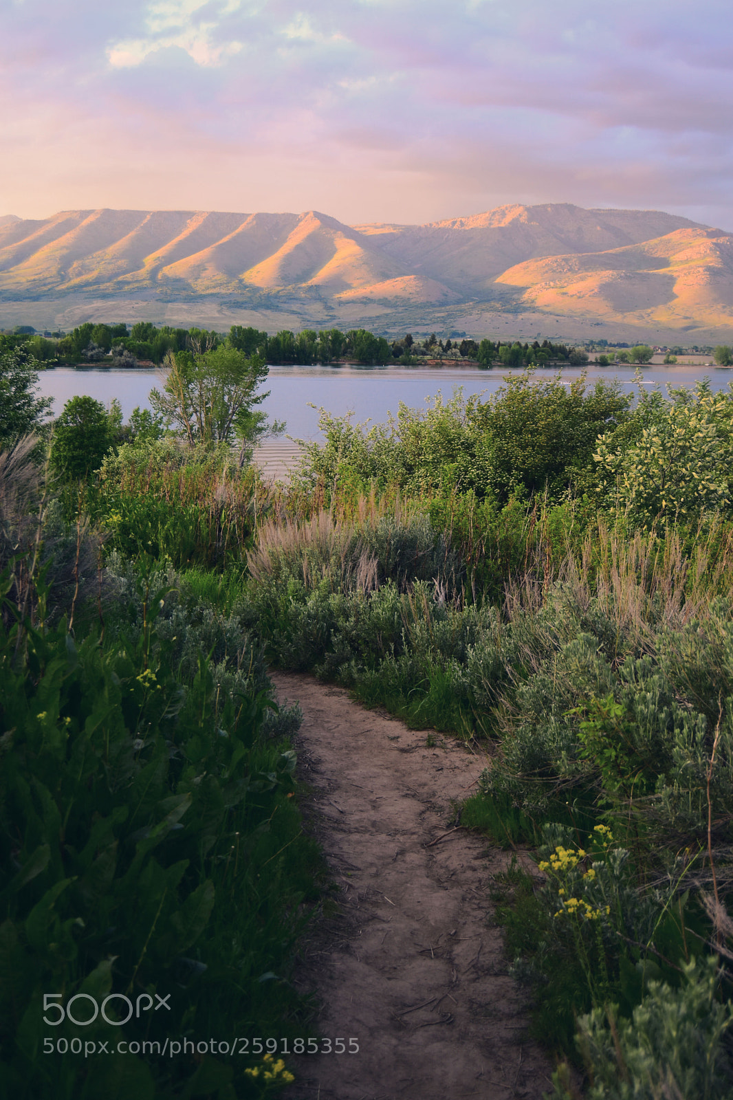 Nikon D7200 sample photo. At the water's edge photography