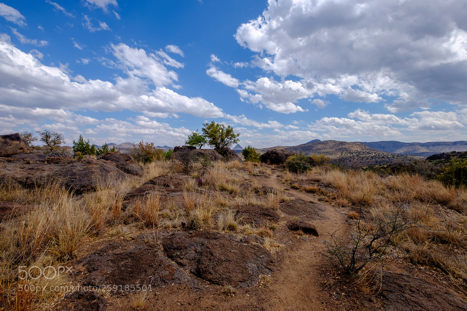Fujifilm X-T1 sample photo. Chihuahuan desert trail photography