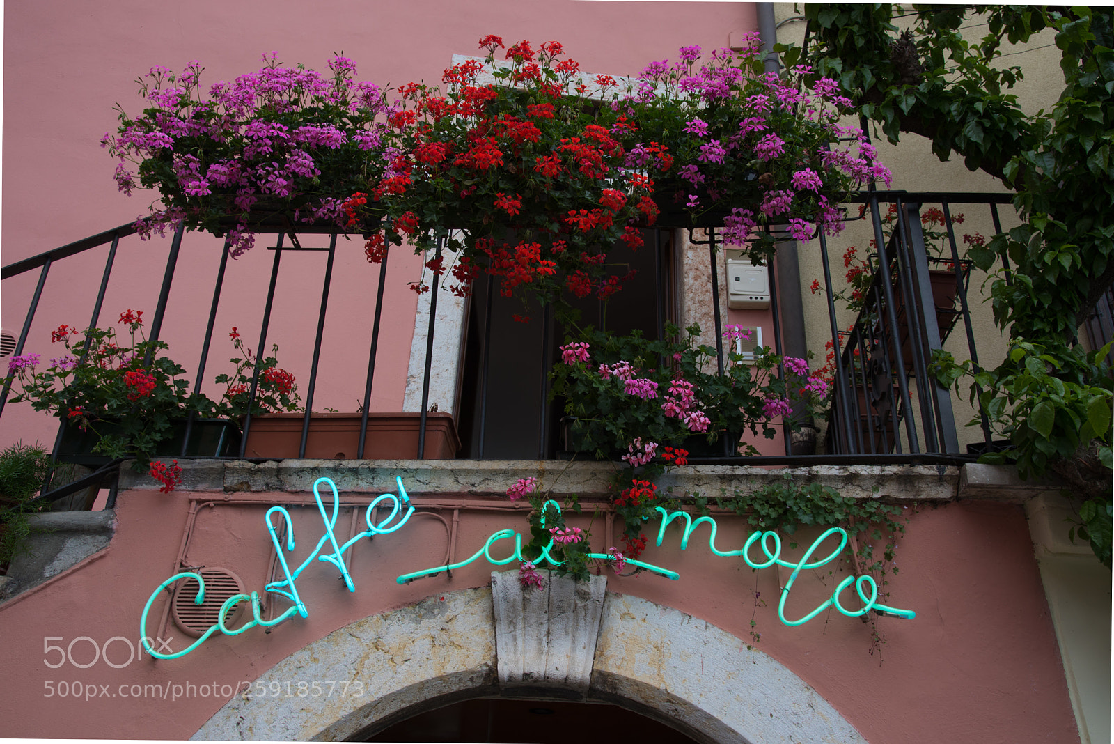 Nikon D750 sample photo. 2018_05_limone photography