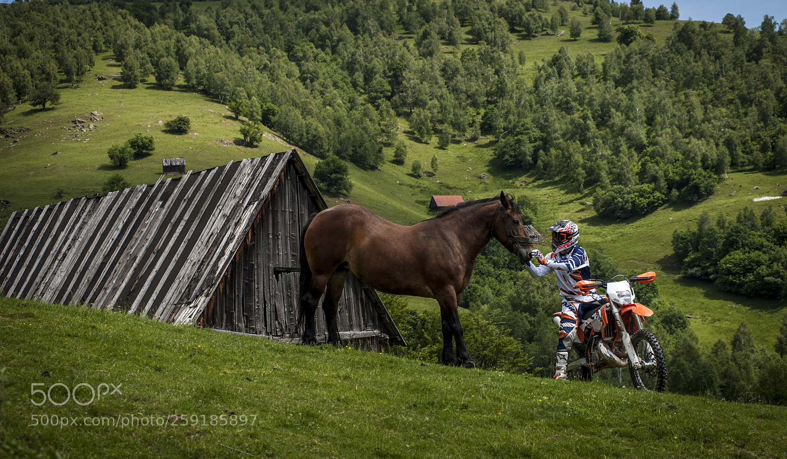 Nikon D3 sample photo. Enduro rider and nature photography