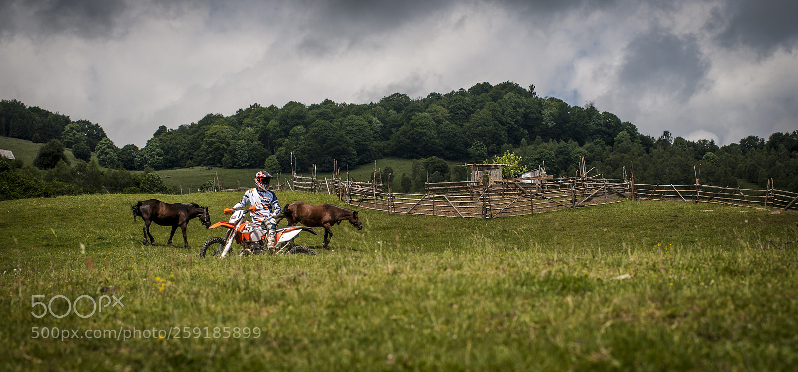 Nikon D3 sample photo. Rider and nature photography