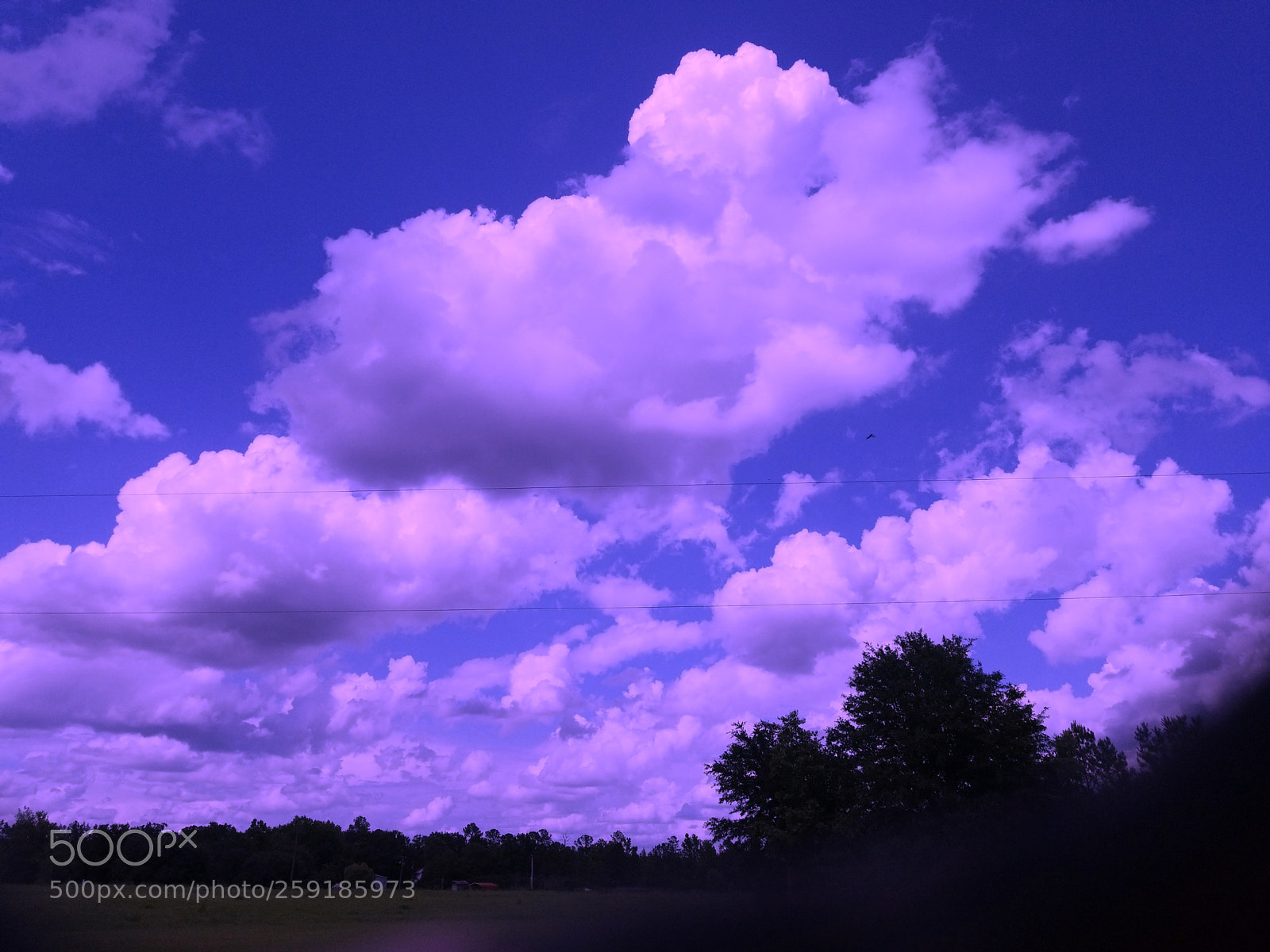 Samsung Galaxy S8+ sample photo. Purple haze photography
