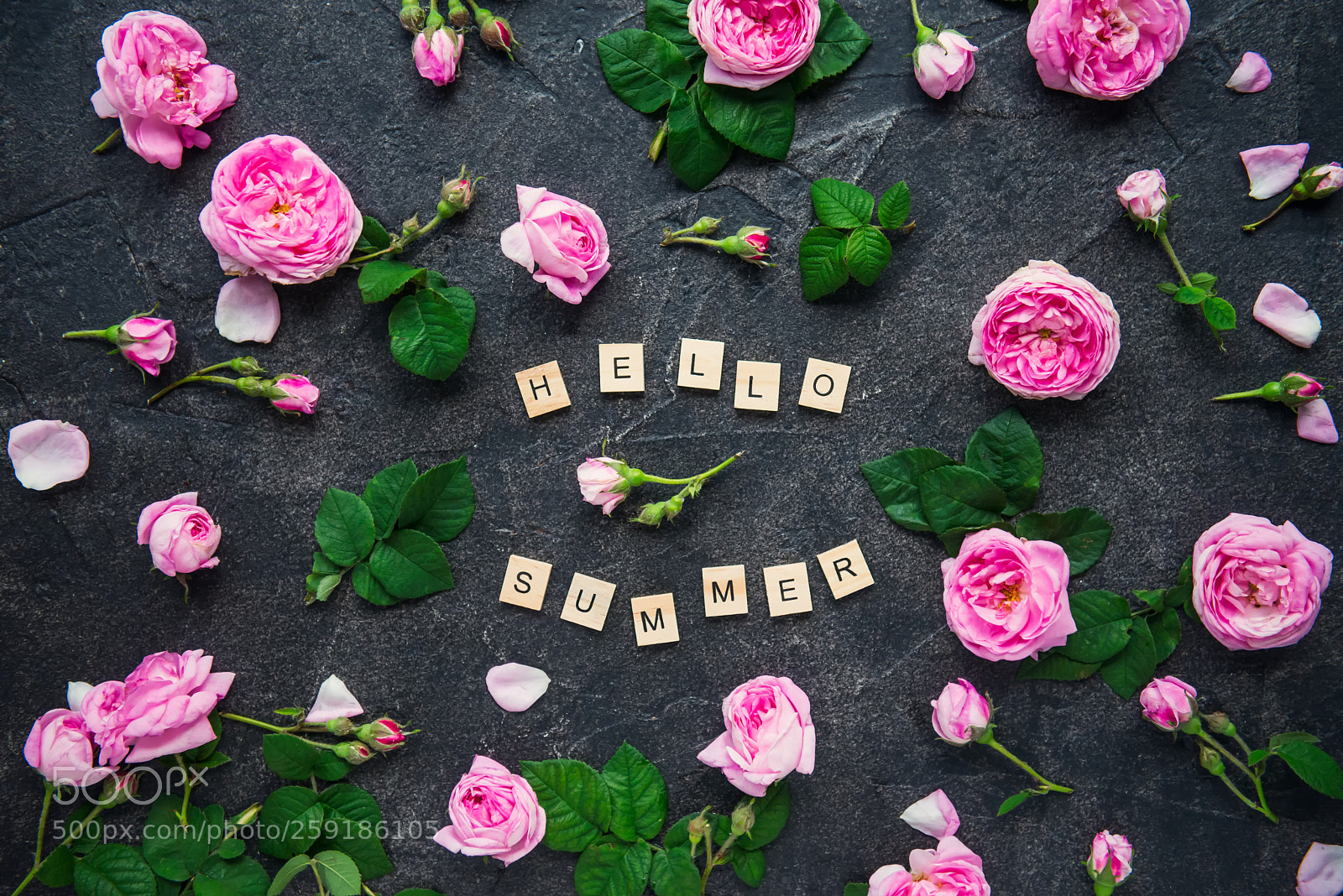 Nikon D610 sample photo. Hello summer inscription by photography