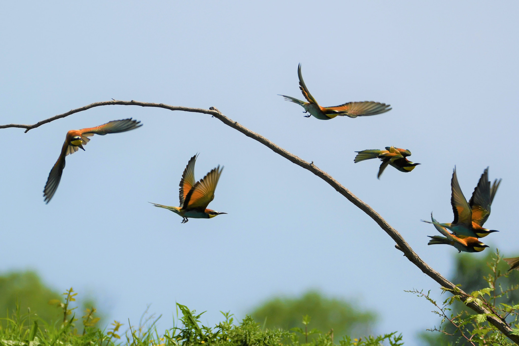 Nikon D7500 sample photo. In flight photography
