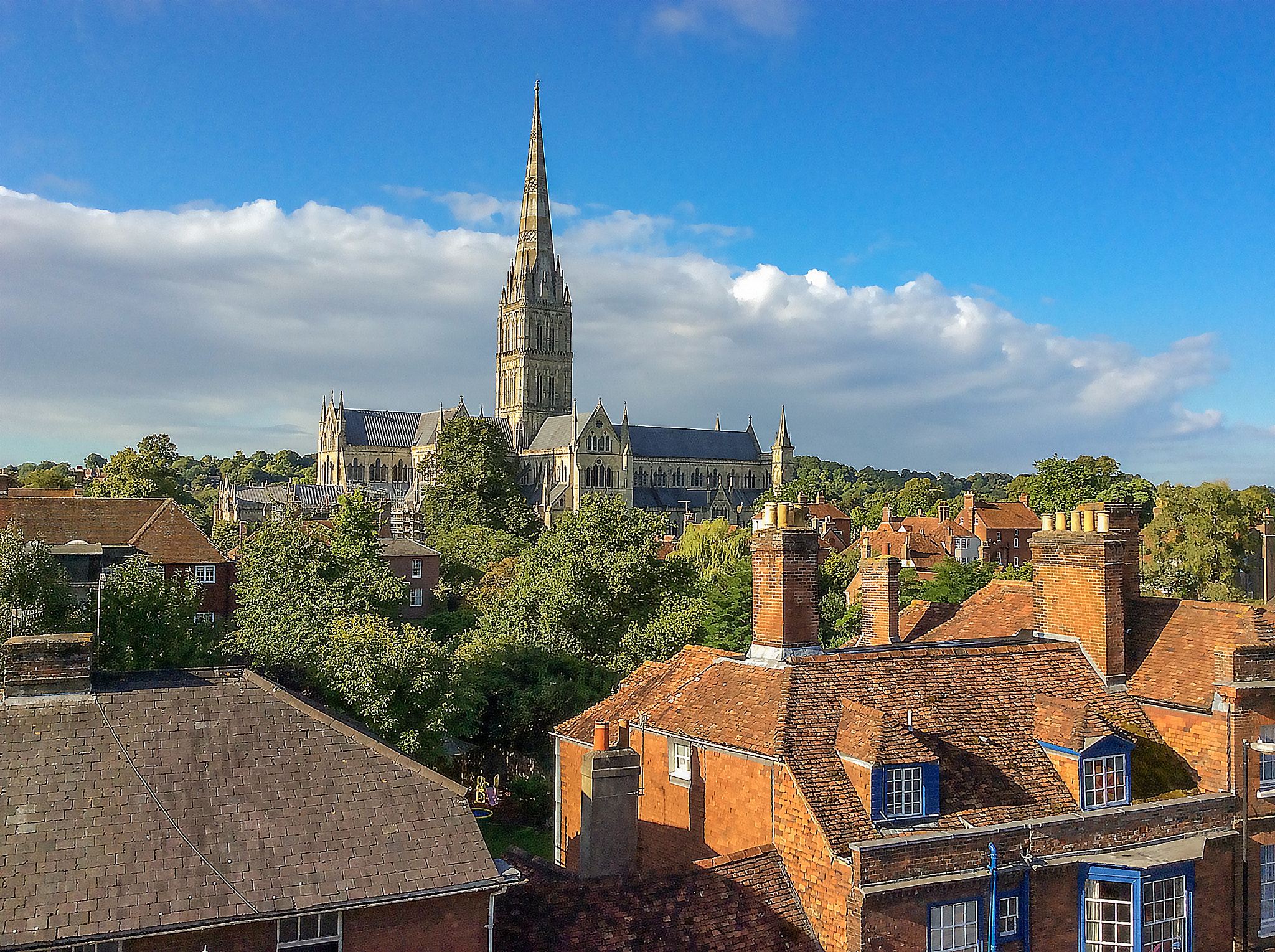 Apple iPad Air sample photo. Salisbury cathedral across rooftops photography