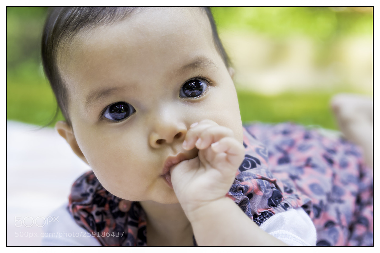 Canon EOS 7D Mark II sample photo. Aileen photography