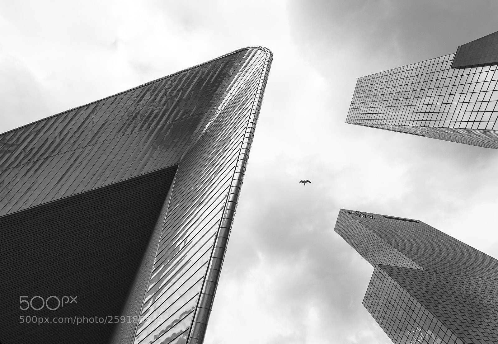 Nikon D700 sample photo. Rotterdam cityscape photography
