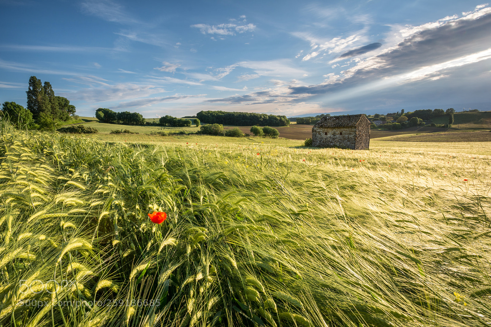 Nikon D7100 sample photo. Belle lumi re en photography