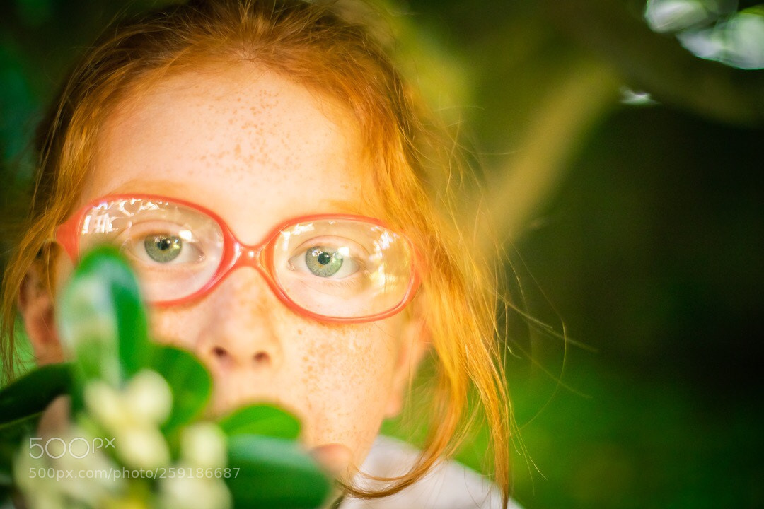 Canon EOS 6D Mark II sample photo. Untitled photography
