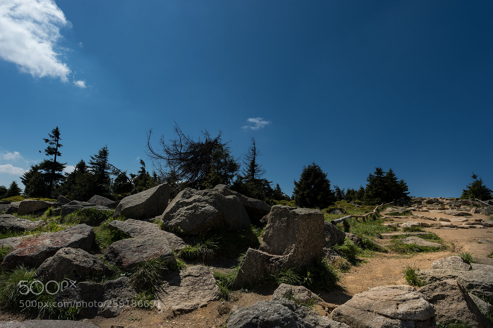 Nikon D4 sample photo. Wandering path photography