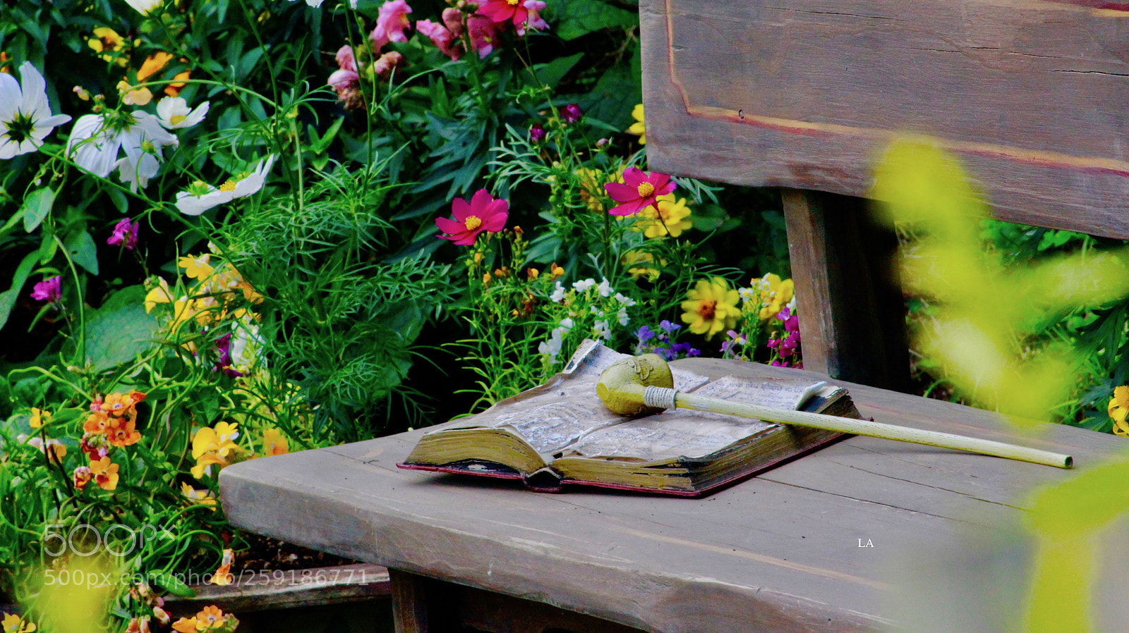 Canon EOS 600D (Rebel EOS T3i / EOS Kiss X5) sample photo. Reading is everything.. photography