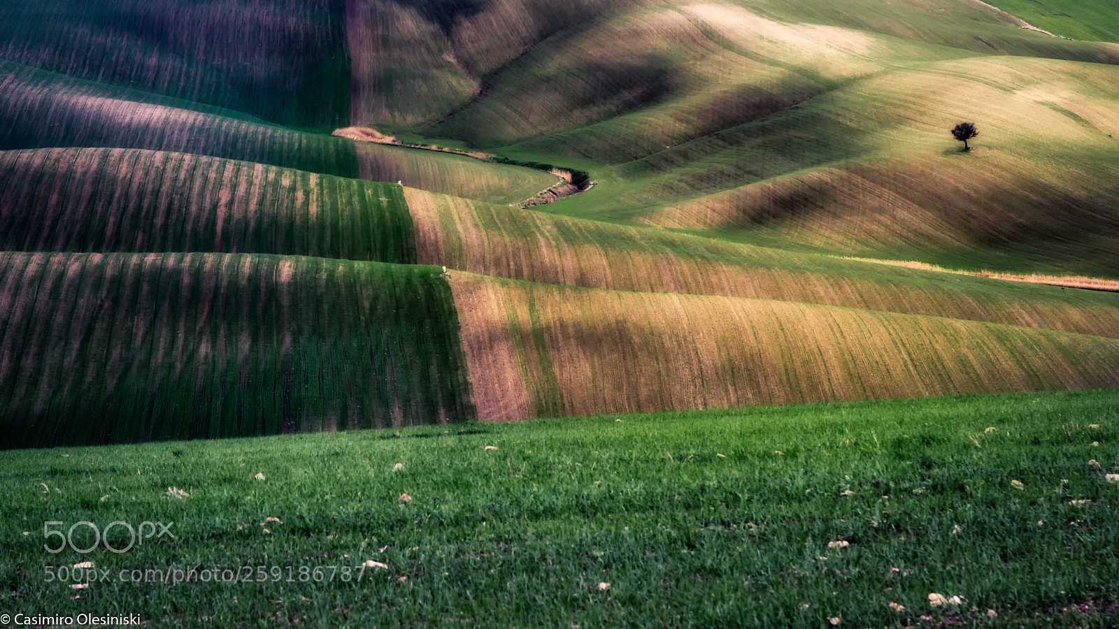 Canon EOS 600D (Rebel EOS T3i / EOS Kiss X5) sample photo. Campagna photography