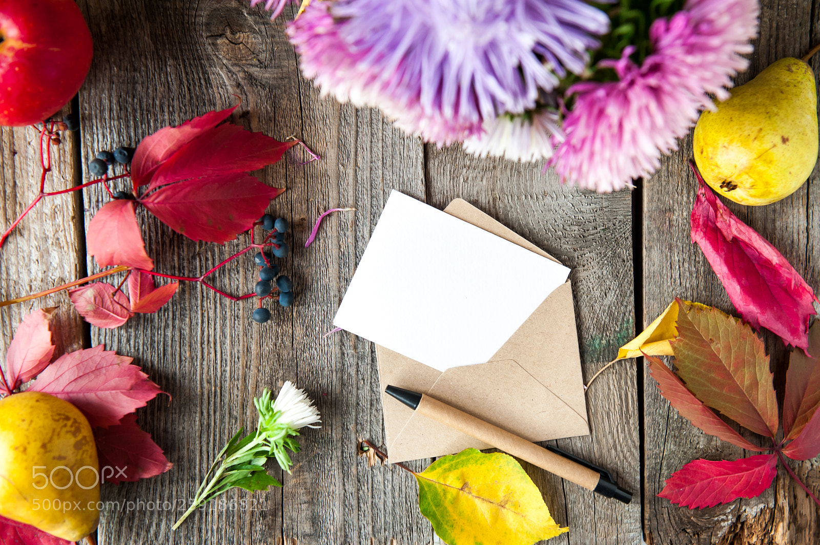 Nikon D700 sample photo. Thanksgiving background with seasonal photography