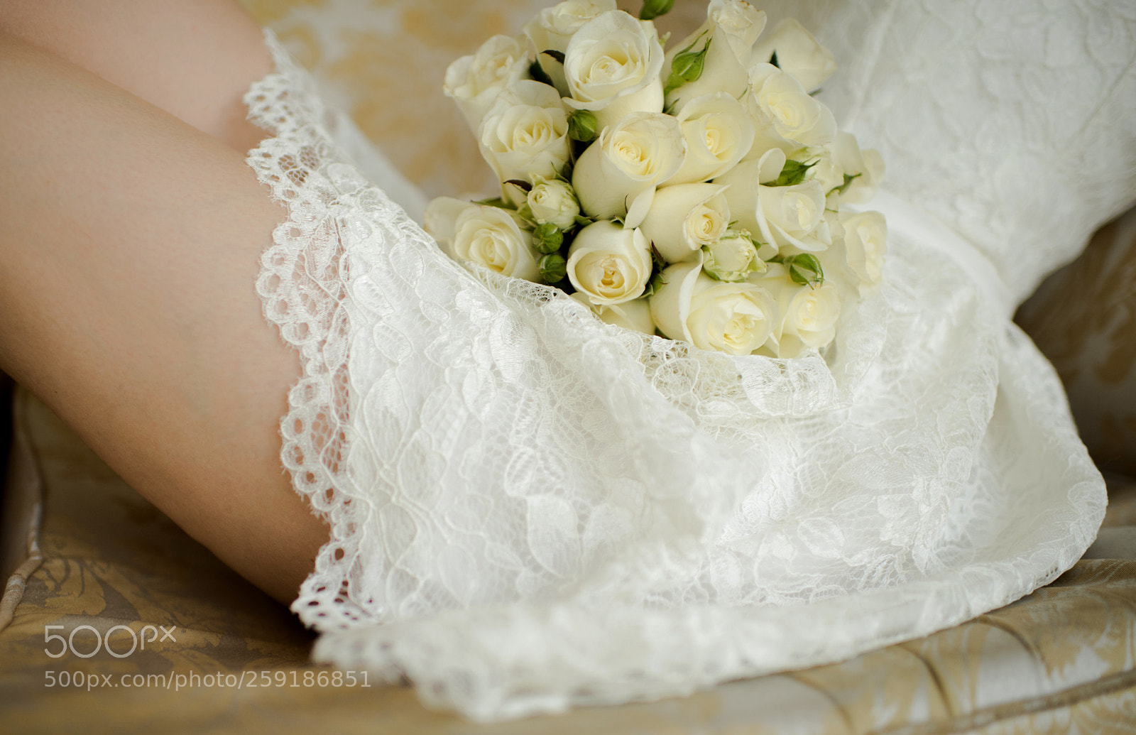 Nikon D810 sample photo. 4.jpg photography