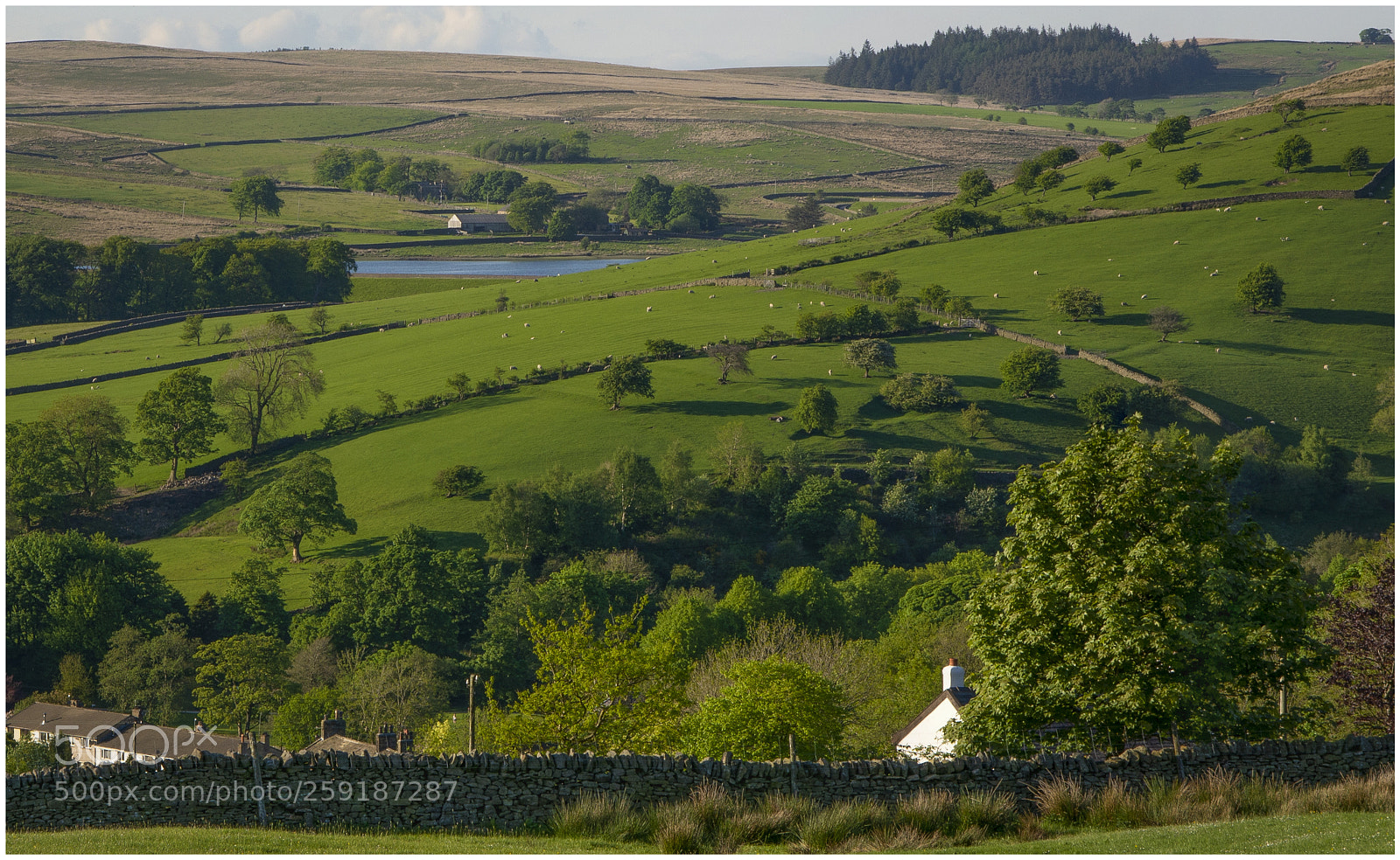 Nikon D7100 sample photo. Barley wh photography
