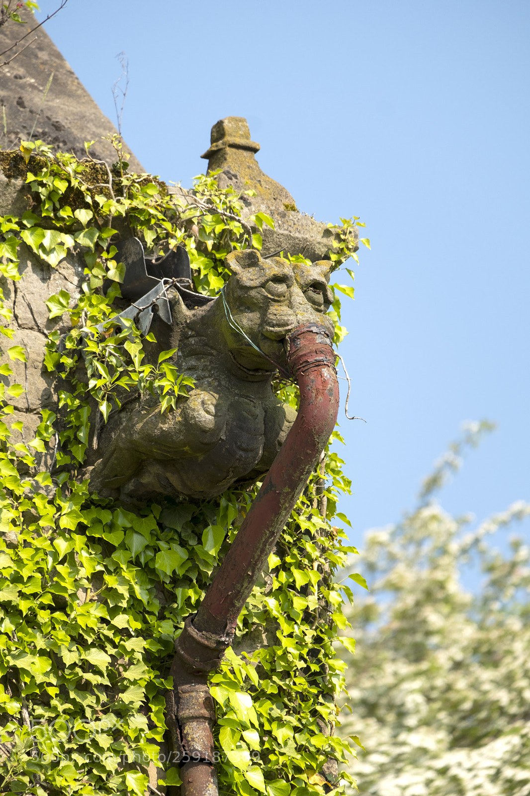 Fujifilm X-T2 sample photo. Gargoyle gagged photography