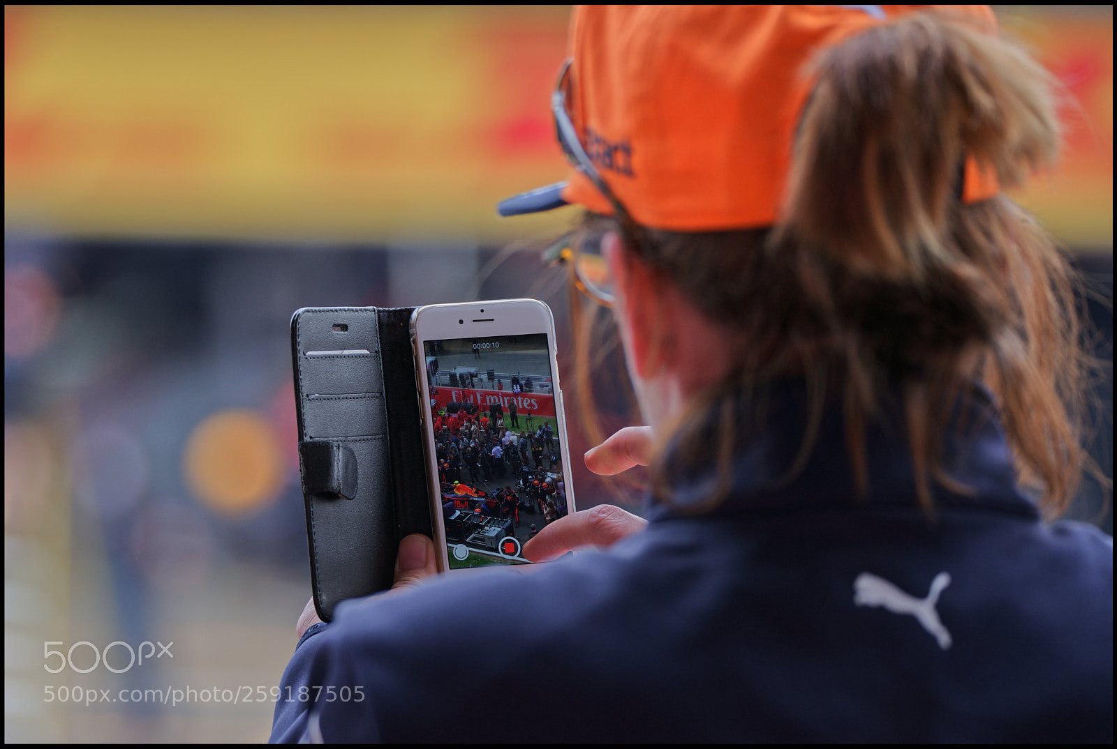 Nikon D610 sample photo. F1 fan photography