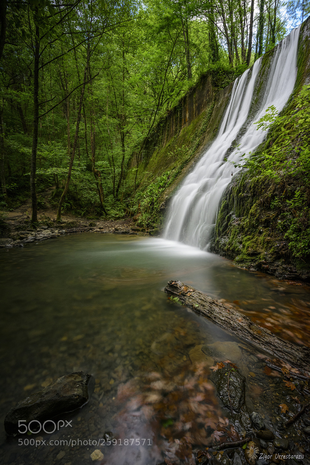 Nikon D810 sample photo. Relaxation. photography