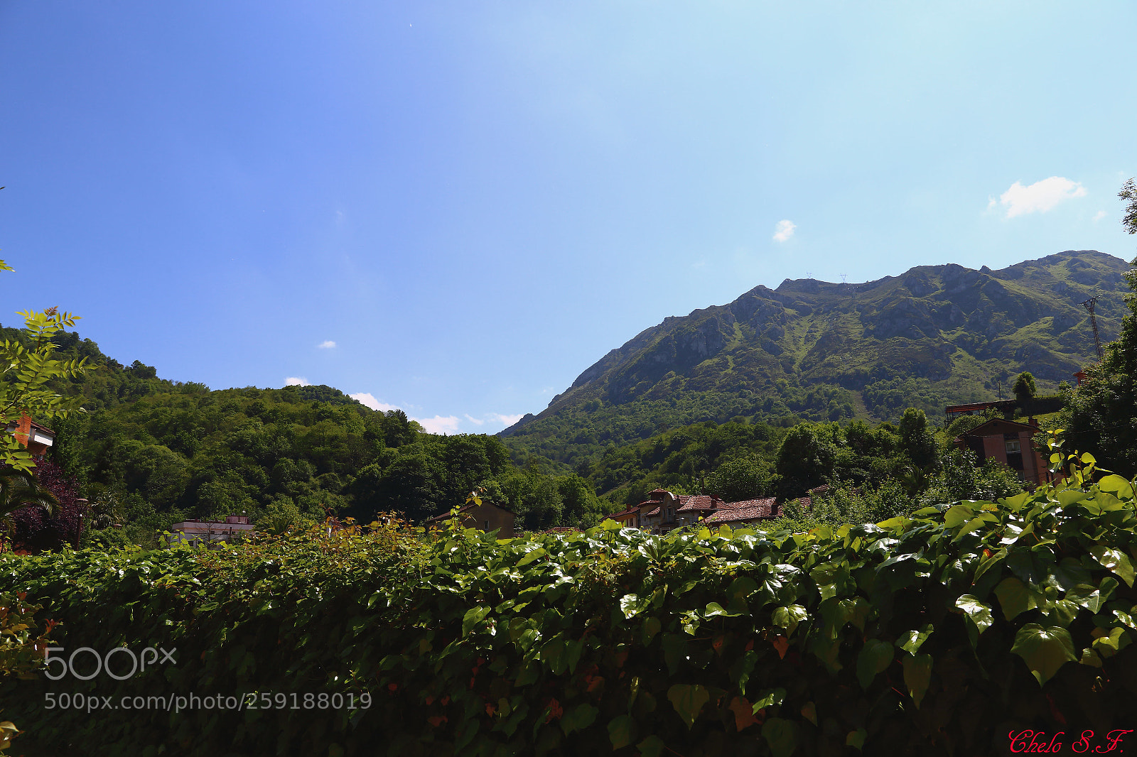 Canon EOS 6D sample photo. Untitled photography