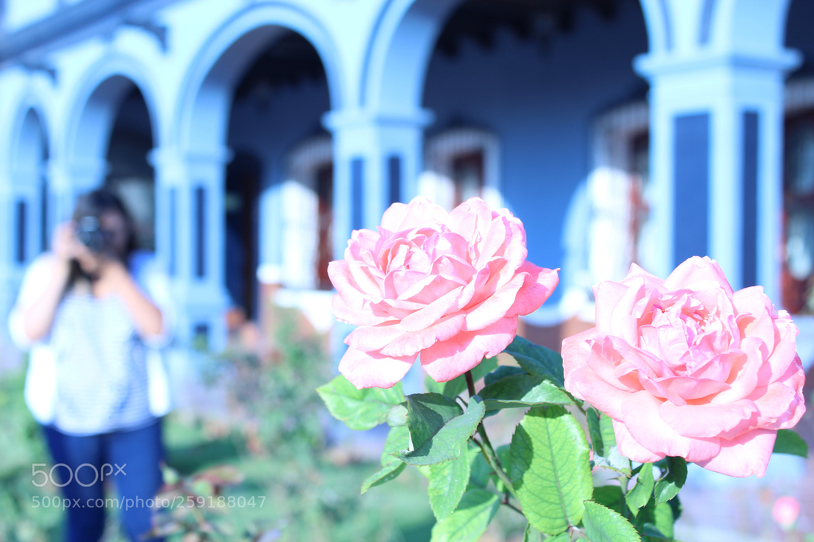 Canon EOS 1300D (EOS Rebel T6 / EOS Kiss X80) sample photo. Doble azul photography